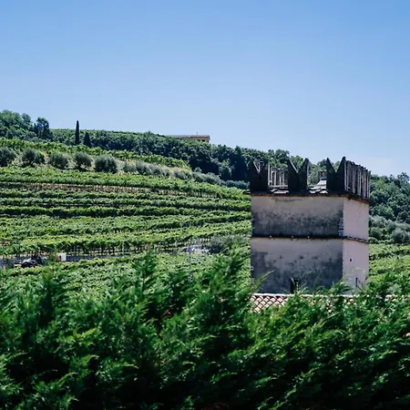 La Contra Valpolicella